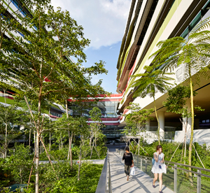 UNStudio Ben van Berkel SUTD Singapore